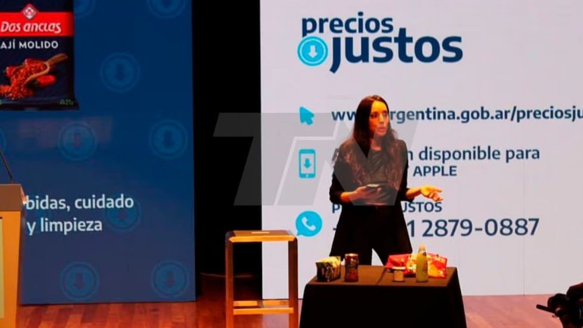 El evento oculto: Tamara Pettinato y su contrato laboral durante el gobierno de Alberto Fernández